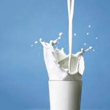 PURE COW MILK 1 KG